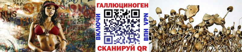 Галлюциногенные грибы прущие грибы  Козьмодемьянск 